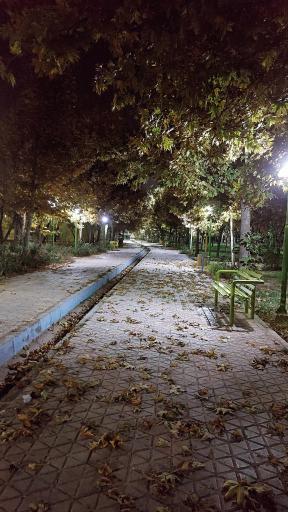عکس 6 — پارک ساحلی چمگردان