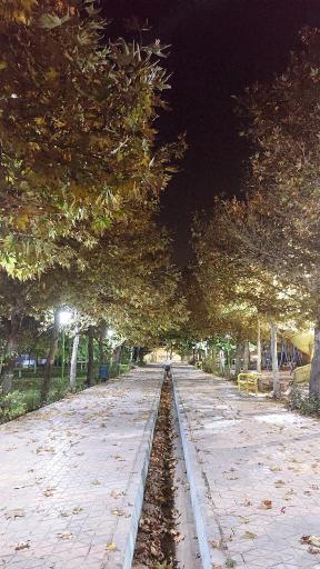 عکس 8 — پارک ساحلی چمگردان