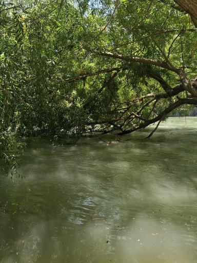 عکس 3 — پارک ساحلی ملک آباد