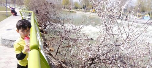 عکس 10 — پارک ساحلی ورنامخواست