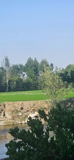 عکس 4 — پارک ساحلی سرارود