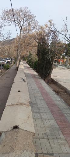 عکس 3 — پارک شهر