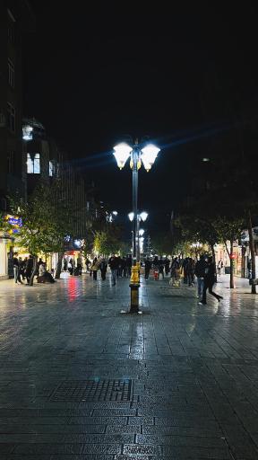 عکس 4 — بازار باغ سپه سالار
