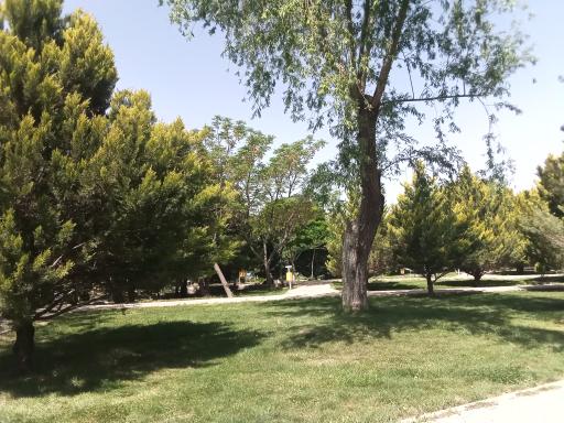 عکس 4 — پارک گل نرگس