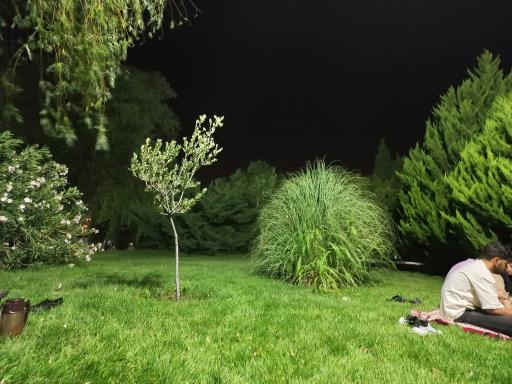 عکس 5 — پارک گل نرگس