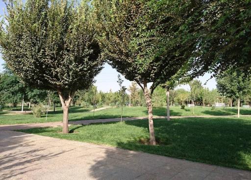 عکس 3 — پارک گلخانه