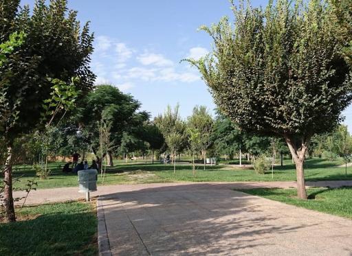 عکس 4 — پارک گلخانه