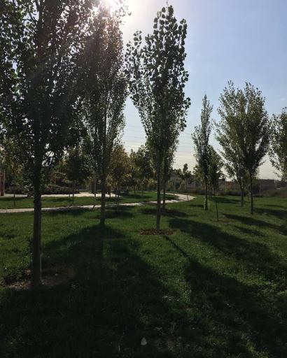 عکس 5 — پارک گلخانه