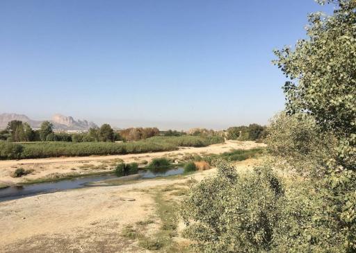 عکس 6 — پارک گلخانه