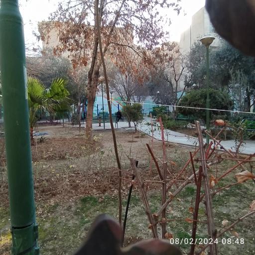 عکس 5 — بوستان شیخ هادی