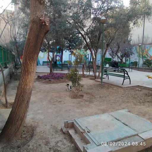 عکس 9 — بوستان شیخ هادی