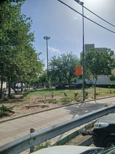 عکس 3 — بوستان میخک