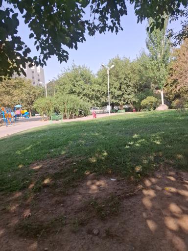 بوستان ارکیده