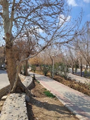 عکس 2 — بوستان روهام