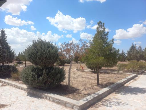 عکس 3 — بوستان شهرک وحدت