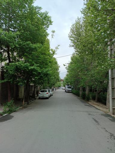 عکس 4 — فضای سبز شهدای کوی جهان