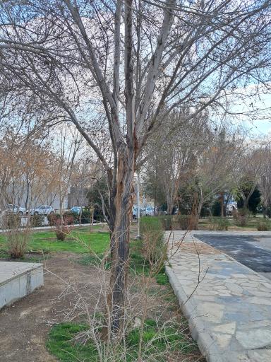 عکس 5 — بوستان شهید حسن شیخ بهایی
