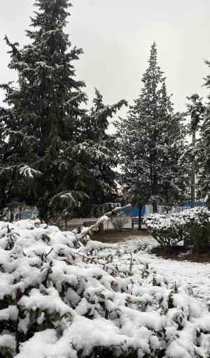 عکس 7 — پارک بوستان