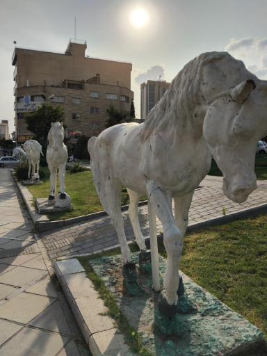عکس 1 — بوستان صدف