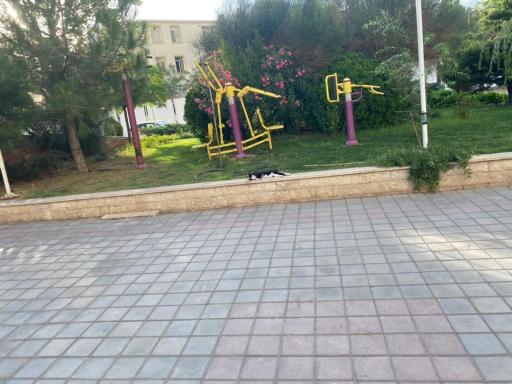 عکس 3 — بوستان شقایق مهر