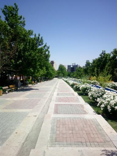 عکس 8 — بوستان شقایق مهر