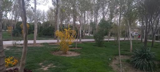 عکس 5 — بوستان سعدی