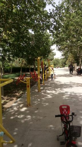 عکس 3 — وسایل ورزشی