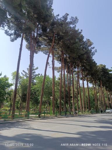 عکس 6 — پارک لاله
