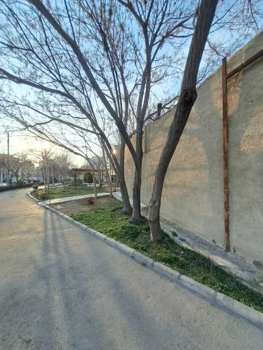عکس 2 — فضای سبز خیابان طیب