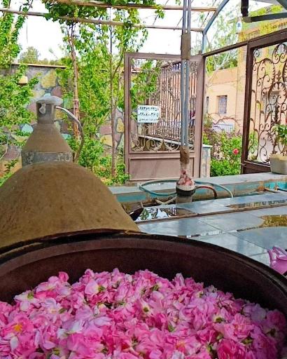 عکس 8 — گلاب گیری سنتی و باغ گل میراث گل کعبه