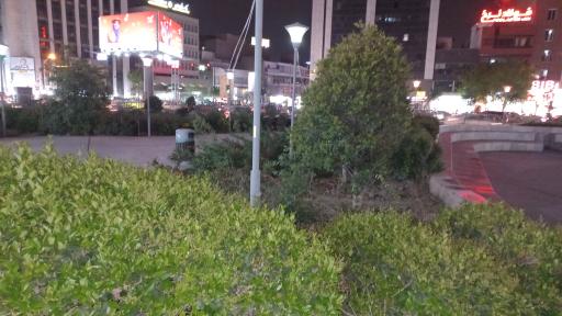 عکس 3 — بوستان پرواز