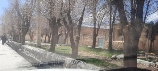 پارک سروهای کهنسال