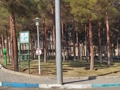عکس 2 — بوستان کاج 1