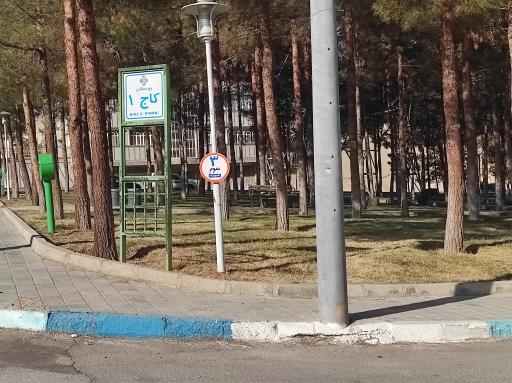 عکس 3 — بوستان کاج 1