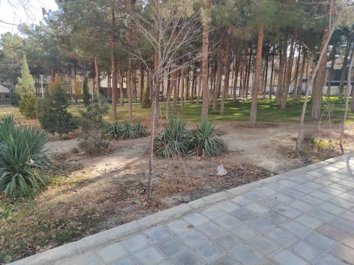 عکس 3 — بوستان کاج 3
