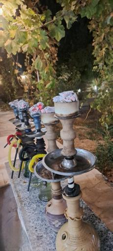 عکس 4 — باغ دلگشا