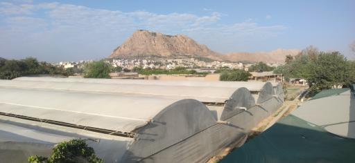 عکس 3 — مجموعه گردشگری کشاورزی باغ به