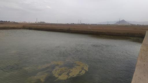 استخر آب کشاورزی