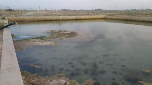 عکس 3 — استخر آب کشاورزی