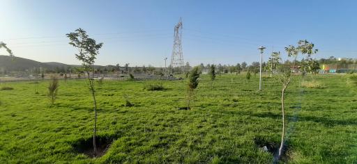 عکس 2 — پارک یاس