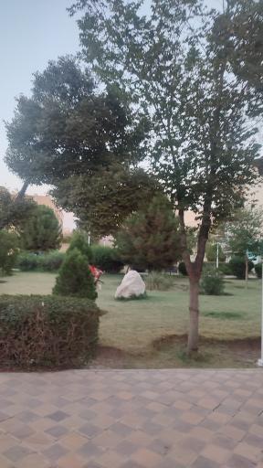 عکس 5 — بوستان کوثر