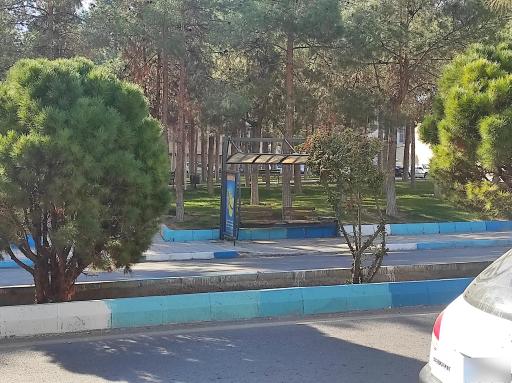 بوستان کاج