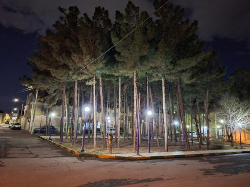 عکس 2 — بوستان محلی