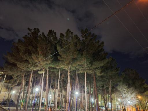 عکس 8 — بوستان محلی