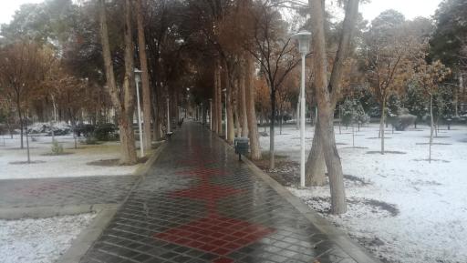 عکس 3 — پارک قلمستان