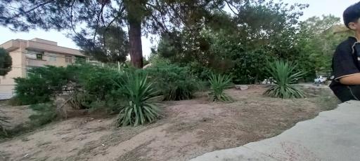 بوستان گلها