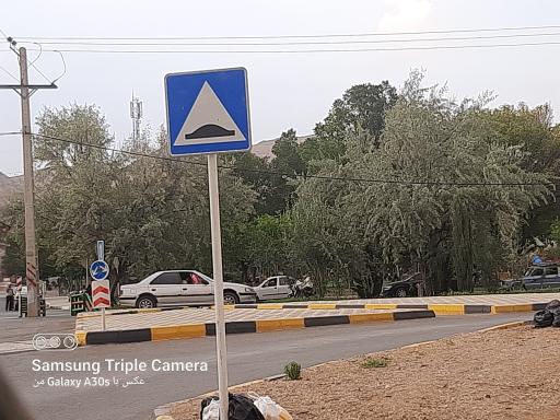 عکس 2 — پارک گلها