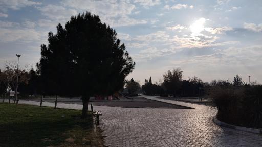 عکس 8 — بوستان بانک استان