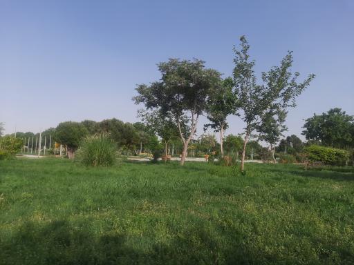 عکس 9 — بوستان بانک استان