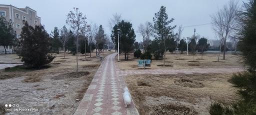عکس 5 — پارک کوروش